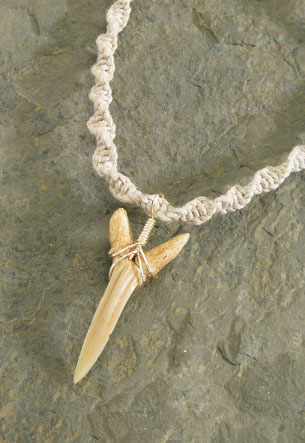 Hemp Cord Necklace Resin Shortfin Mako Shark Tooth with Black Beads