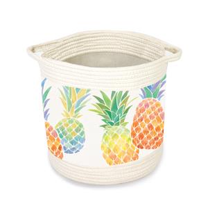 Storage Baskets, Watercolor Pineapple - Small