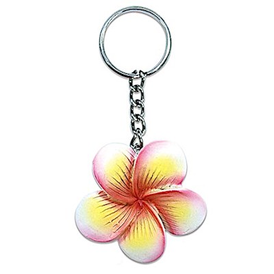 Hawaiian Coconut Sea Turtle Key Chains Jewelry Pink Hibiscus Hawaii Gifts Aloha 
