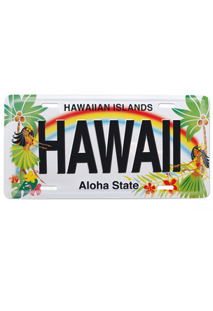 Hawaii Souvenir License Plate Island Hula Honeys Welcome to the Islands 