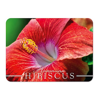 Die-Cut Tin Picture Magnet, Coral Hibiscus