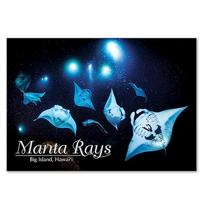 P/C 4X6 H-363 MANTA RAYS