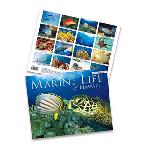 2024 Trade Calendar, Marine Life of Hawai'i