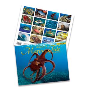 2023 Trade Calendar, Hawai'i Marine Tide