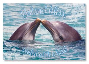 4 X 6 Generic Postcard, Dolphin Kisses II