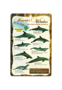 Whales/Marine Mammal Card