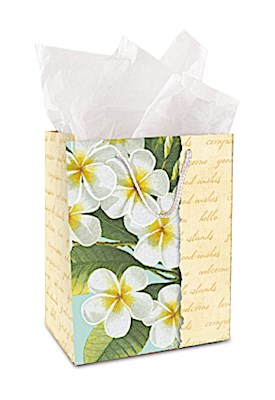 BAG MED PLUMERIA NOTES