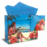 Mini Gift Bag, Vintage Hawaii (H)