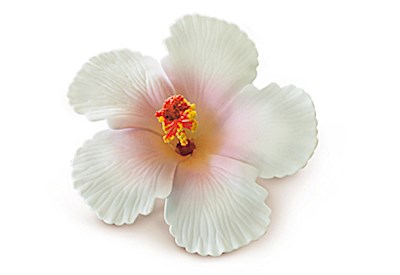 Foam Hibiscus Clip, White