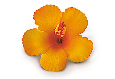 Foam Hibiscus Clip, Orange