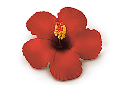 Foam Hibiscus Clip, Red