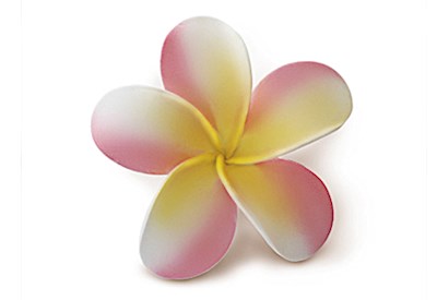 Foam Single Plumeria Clip, Pink & Yellow