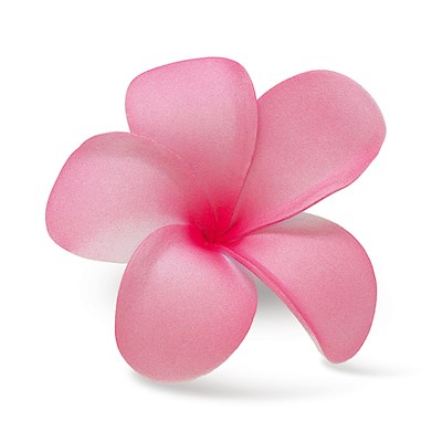 Foam Single Plumeria Clip, Pink & Dark Pink