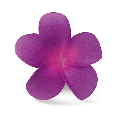 Foam Single Plumeria Clip, Purple & Pink