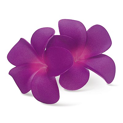 Foam Double Plumeria Clip, Purple & Pink