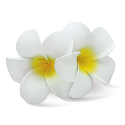 Foam Double Plumeria Clip, White & Yellow