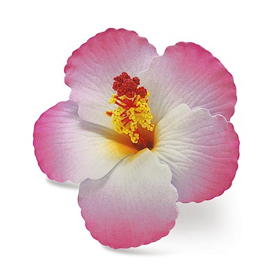 Foam Hibiscus Clip, Pink