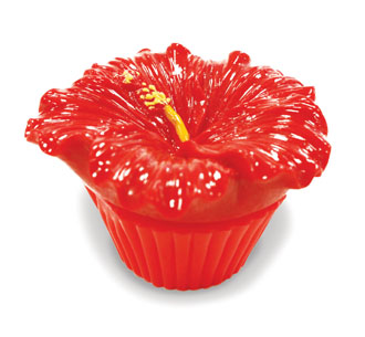 Lip Gloss Lovely Hands Red Hibiscus