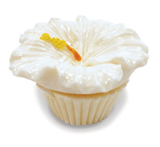 Lip Gloss Lovely Hands White Hibiscus