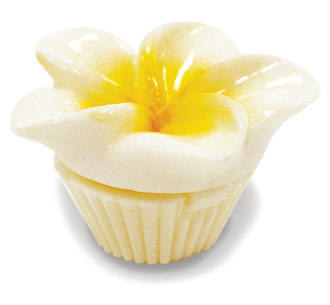Lip Gloss Lovely Hands White Plumeria