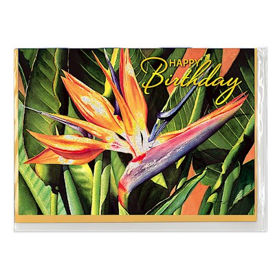 Happy Birthday Card, Bird of Paradise (H)