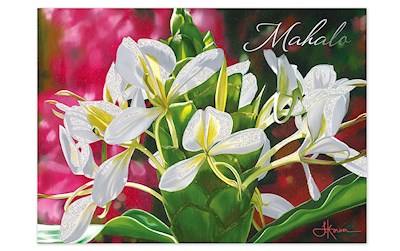 Greeting Card, White Ginger