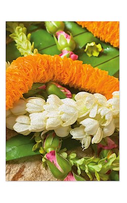 Greeting Card, ‘Ilima, Pikake, Pakalana Lei, Ann Cecil (V)