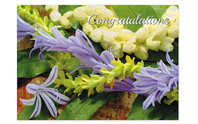 Greeting Card, Lei Assortment