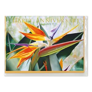 Greeting Card, Bird of Paradise