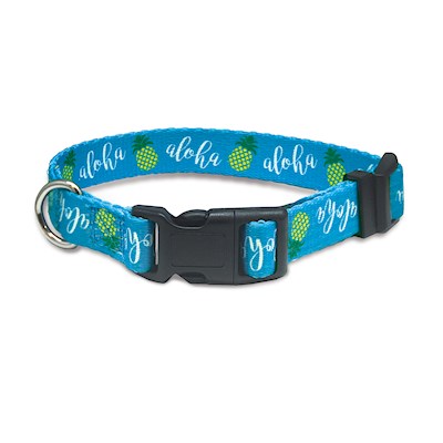 Pet Collar, Pineapple Aloha - XS