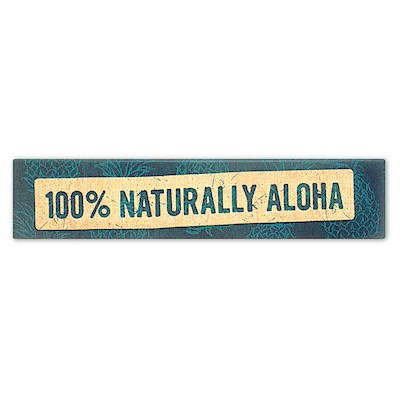 Wall Art Canvas Print 15x3, Naturally Aloha