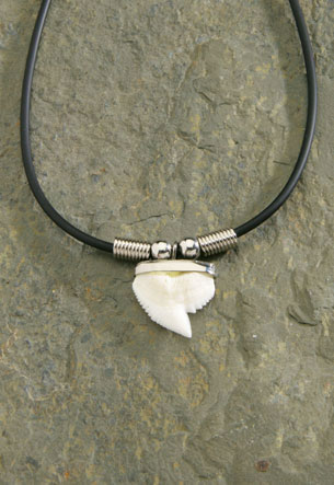 Rubber Cord, Resin Shark Tooth