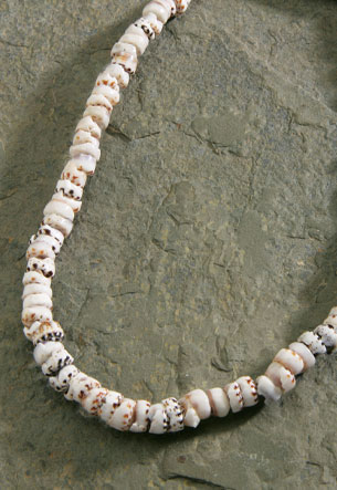 Shell Necklace, Large Tiger