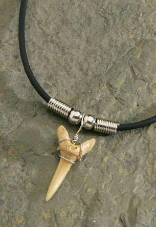 Rubber Cord, Fossil Shark Tooth