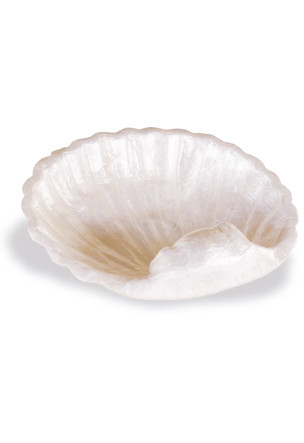 Bowl, Shell - Natural