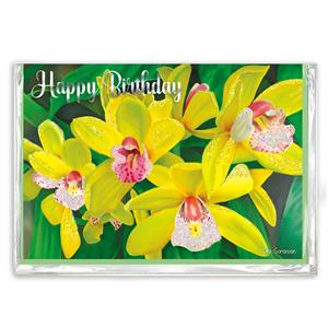 Greeting Card, BDAY YW CYMBIDIUM