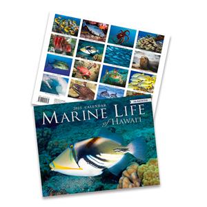 2023 Trade Calendars, Marine Life of Hawai'i
