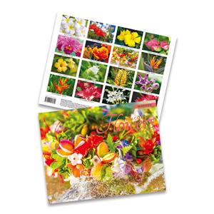 2026 Trade Calendar, Flowers of Hawaii