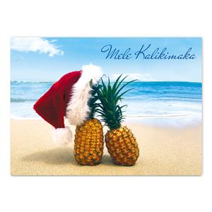 12-ct Box Xmas, Pineapples in Paradise (Teri Lathrop)